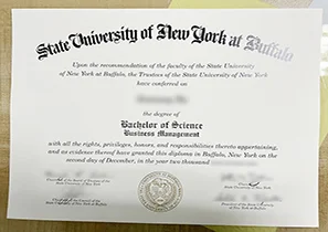 State University of New York at Buffalo Diploma