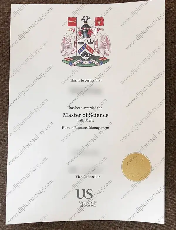 University of Sussex Diploma 