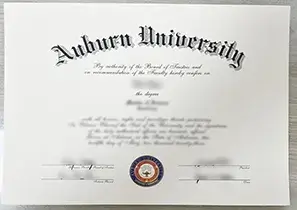 Auburn University Degree