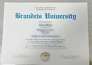 Brandeis University Degree