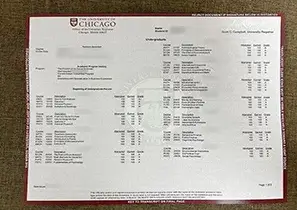 The University of Chicago Transcript