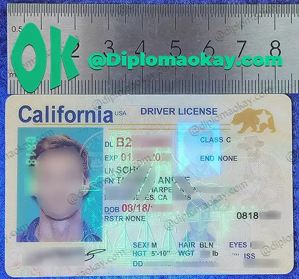 CA driver‘s license
