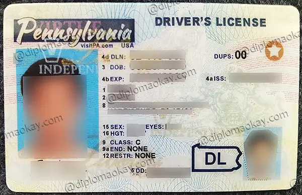 Pennsylvania Driver's License Front