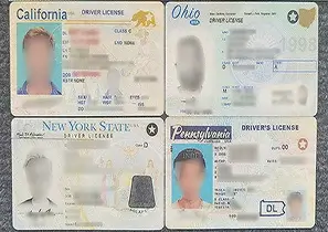 US driver's license