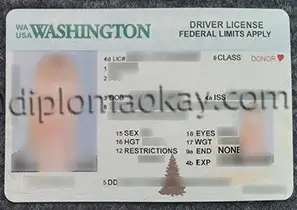 华盛顿州驾照