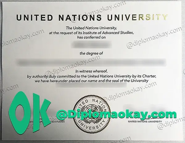办理联合国大学毕业证