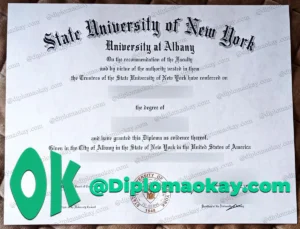 SUNY-Albany大学文凭购买