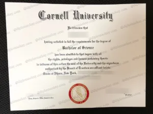 购买Cornell文凭