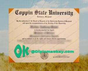 [Image: Coppin-State-University-Degree-1-300x242.jpg]