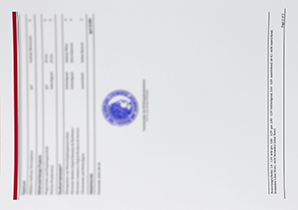 首页 10 购买达姆施塔特工业大学成绩单