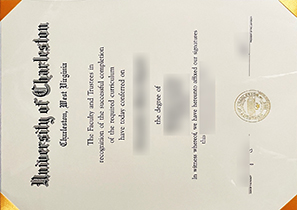 首页 7 查尔斯顿大学毕业证定制