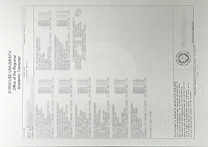 制作雪城大学成绩单