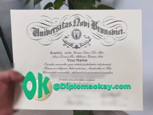 新不伦瑞克大学毕业证定制