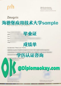 海德堡应用技术大学毕业证购买